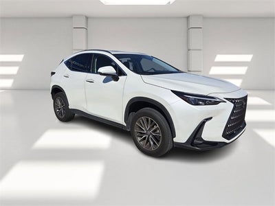 2024 Lexus NX NX 250 Premium