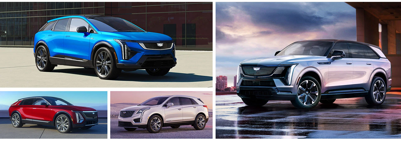 Cadillac logo cadillac fl